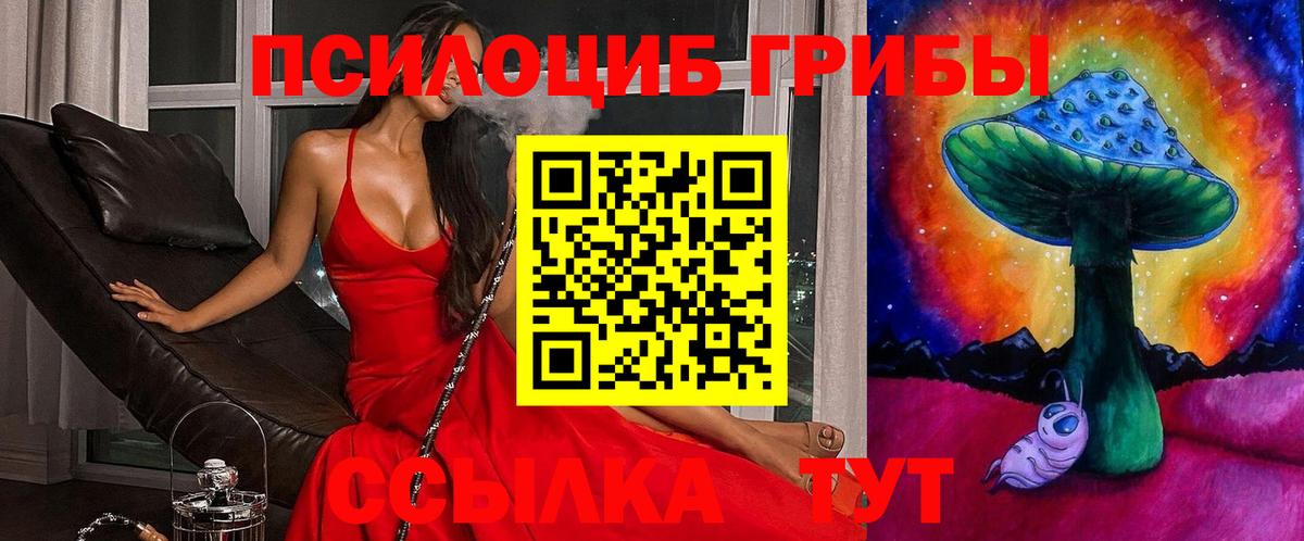 Галлюциногенные грибы Psilocybine cubensis  Псилоцибиновые грибы Psilocybine cubensis  Вход с VPN  Черняховск 