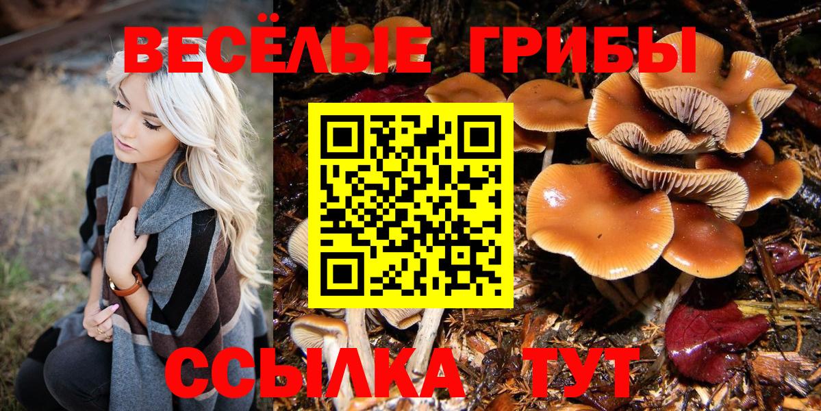 Псилоцибиновые грибы GOLDEN TEACHER Черняховск